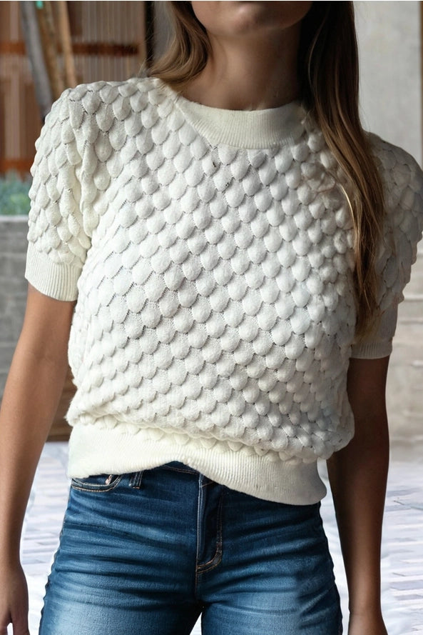 Textured Knit Ribbed High Neck Short Sleeve Sweater